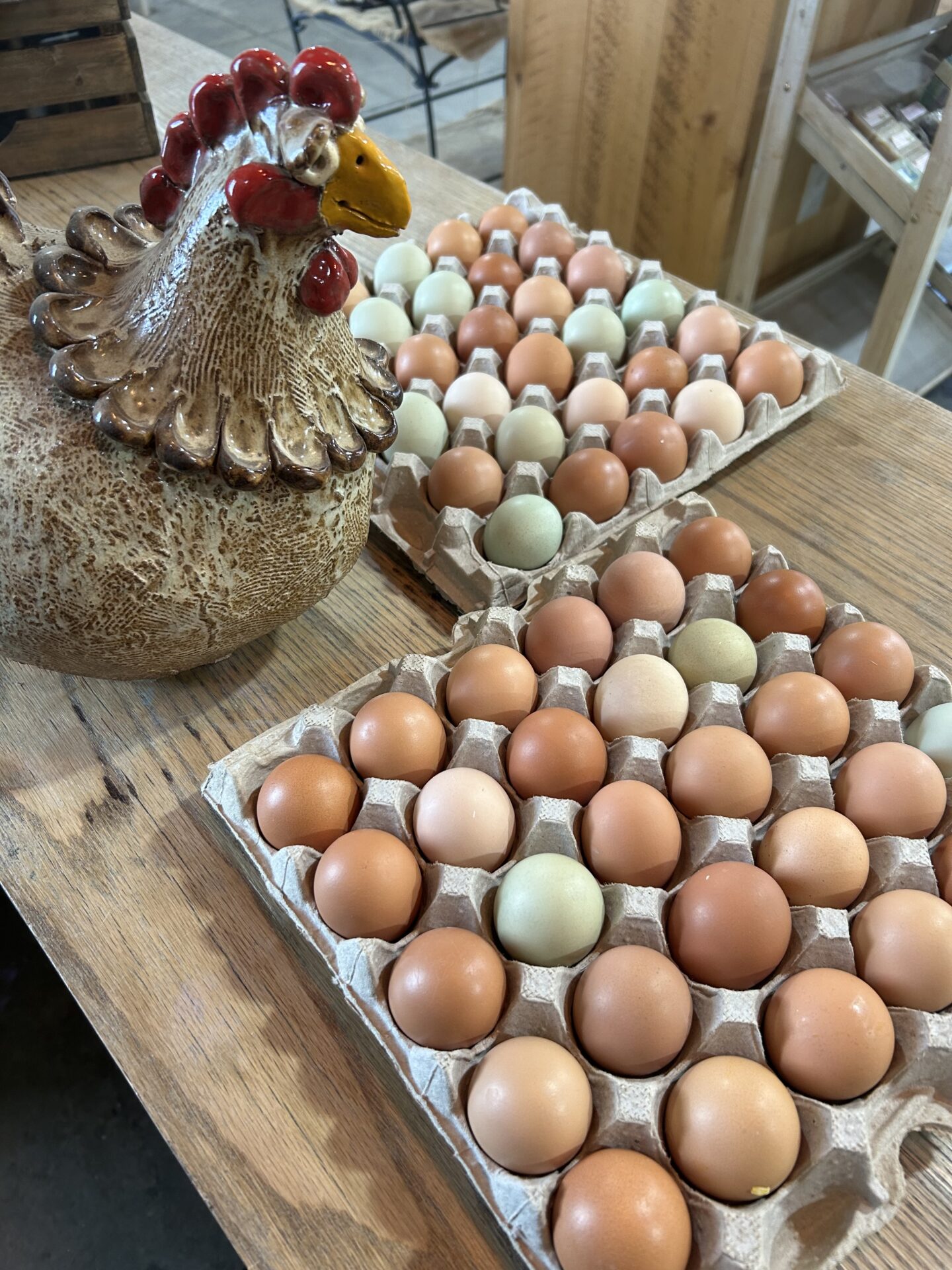 egg trays
